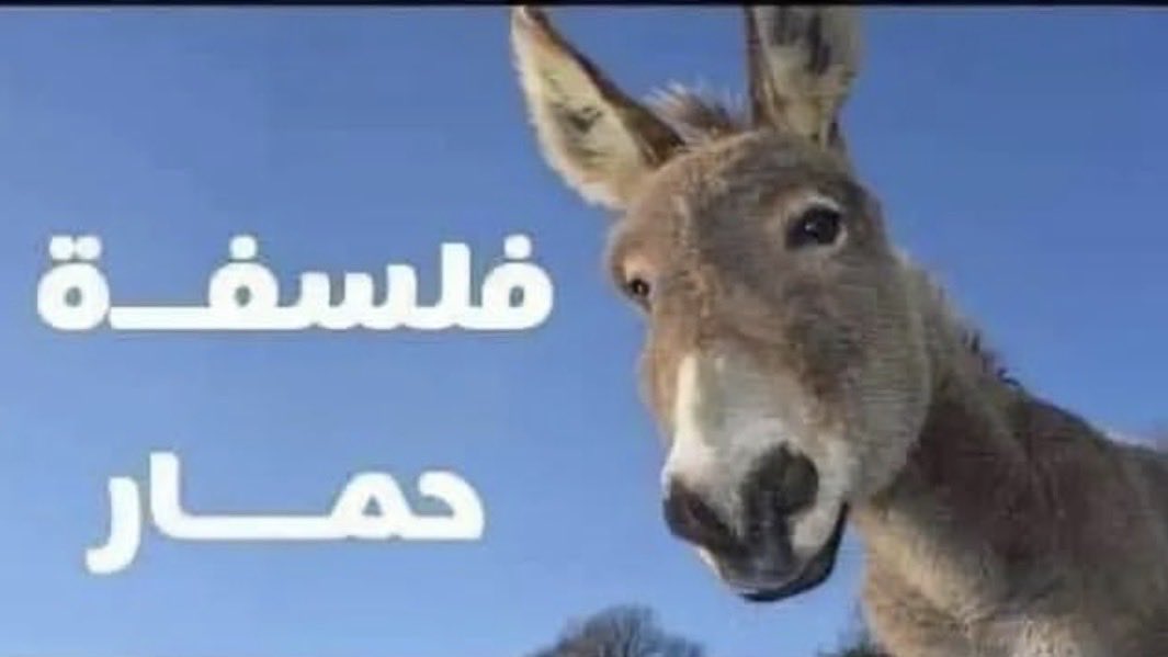 GioAbou's tweet photo. @MohamadShamass https://t.co/J47GFjqYN7