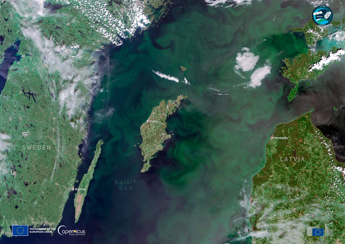 CopernicusEU's tweet photo. 🚀 Less than 24 hours to go! #CopernicusEU Sentinel-3C launches aboard Vega-C from Kourou.
🌊 Sentinel-3 helps monitor our oceans, including summer algal blooms in the Baltic Sea.
🕒 15 Sept, 03:21 CEST.
📺 Watch LIVE!
🔗 https://t.co/SYoj9o3jDX
#EUSpace https://t.co/iQlQDUhwtA