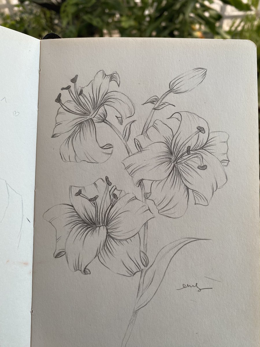 ubitela's tweet photo. Karena sering lihat sketch mas @pergijauhkealam jadi inget kalau dulu sering corat-coret tanaman juga, spesialis bebungaan :D

Indahnya hidup dekat dengan alam. Semoga bisa rutin berkarya lagi~~ https://t.co/6iiuLAYNjr