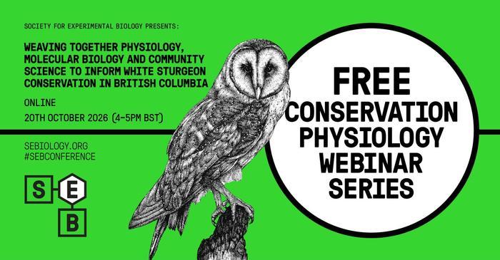 SEBiology's tweet photo. How can different scientific approaches come together to support white sturgeon conservation?

Join Dr Madison Earhart for the next @conphysjournal  "Community Conversation" on 20 October.

Free to attend for SEB members : https://t.co/aZmas2QTP8

We hope to see you there! https://t.co/RTQRbwSQbI