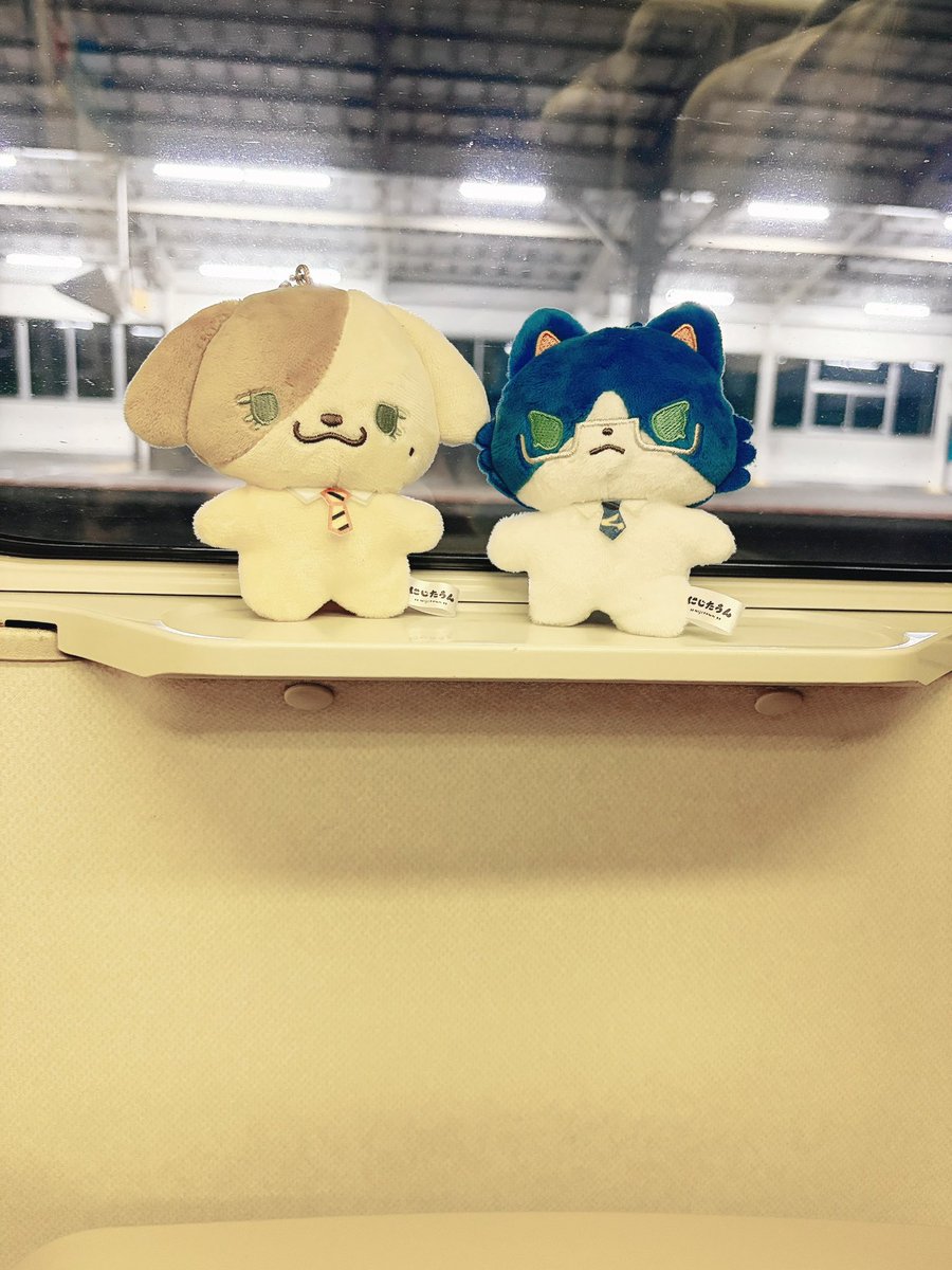 h____r____k____'s tweet photo. 旅するたうん    たびたうん https://t.co/RND8FbrGiJ