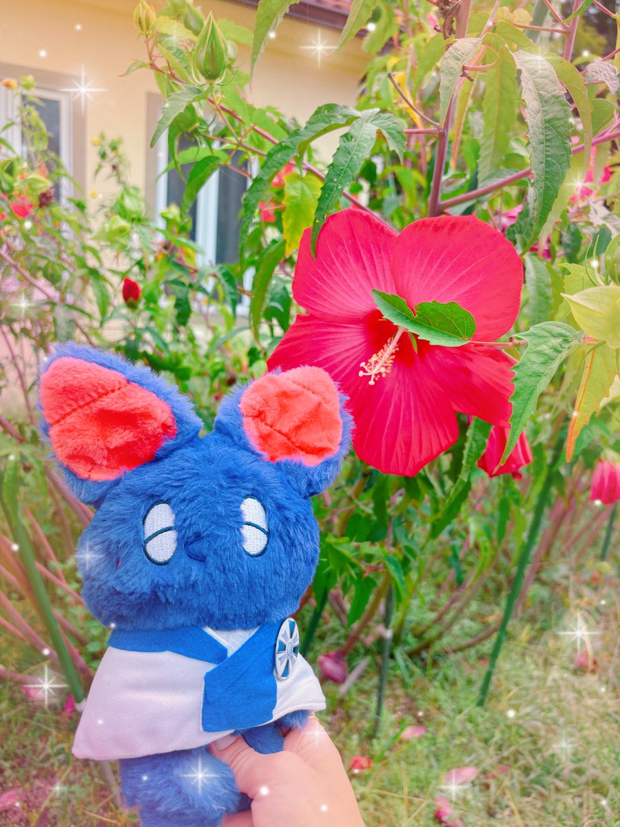daydream594's tweet photo. 岡山いってきた！
アイスはピーマン・トマト・生姜の変わり種とカボチャ🎃 https://t.co/4SNBqMTfAU