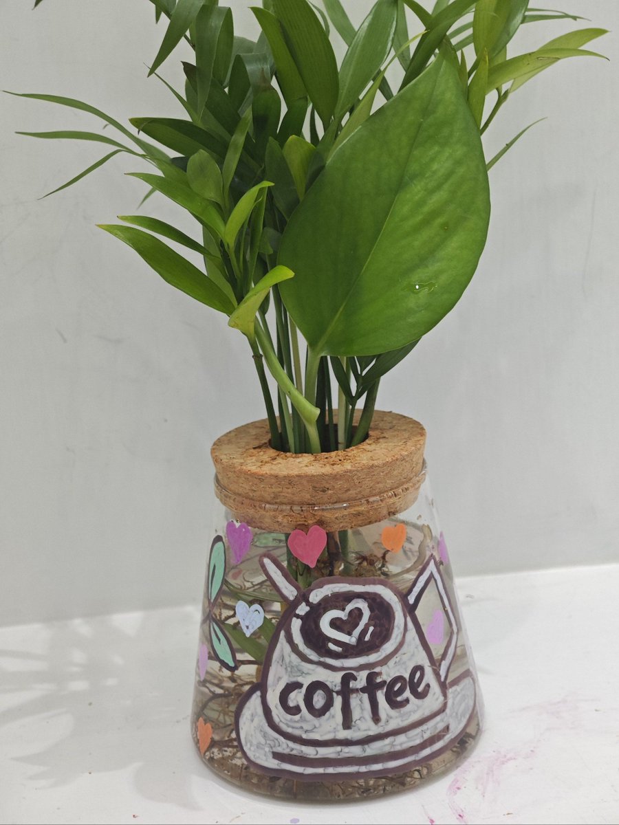 CandanceCl3uc7's tweet photo. Just upcycled old glass jars into mini succulent planters! Added tiny pebbles u0026 a hand-painted cat mark for a cute touch  Perfect weekend DIY win! https://t.co/PmR6Z5HDyY