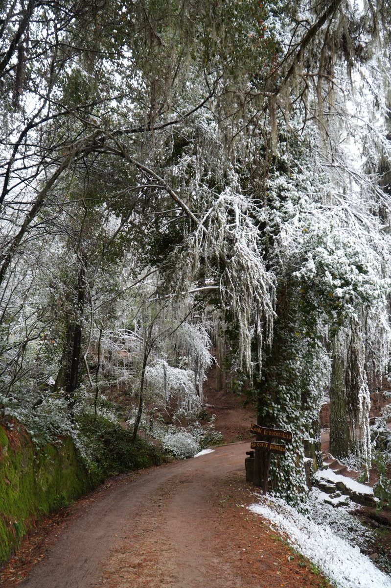 PauChurruca's tweet photo. La Cumbrecita en septiembre ❄️ https://t.co/tyYpdYOKFh