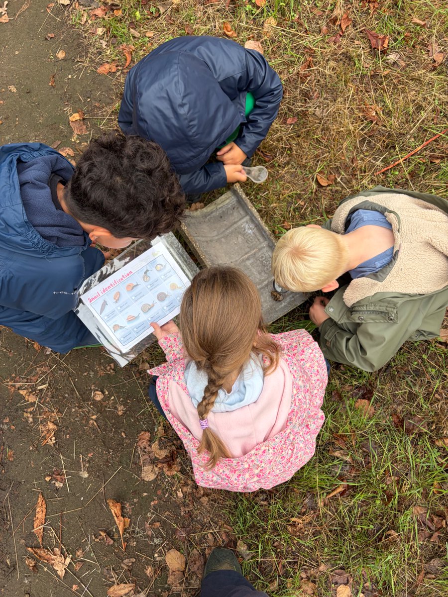 LEOforestschool's tweet photo. π π Year 1 @HurstParkSchool enjoyed a session about spirals at Forest School today. Snail id and making a nature spiral using natural resources. π π³ Lots of team work and exploration #ForestSchool #Yearone https://t.co/QItdmiIBFD