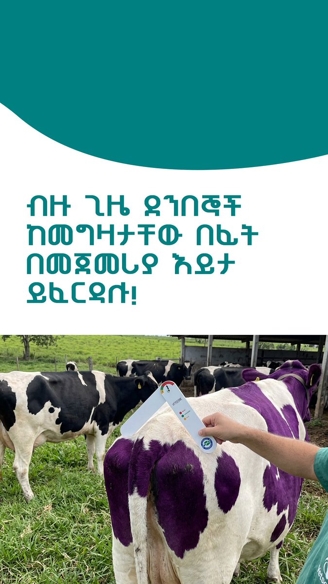 naodephrem's tweet photo. Good marketing is not just about selling a product it is about understanding what people need, building trust, creating a strong brand, and standing out from the competition. https://t.co/SqNRVLc7sj