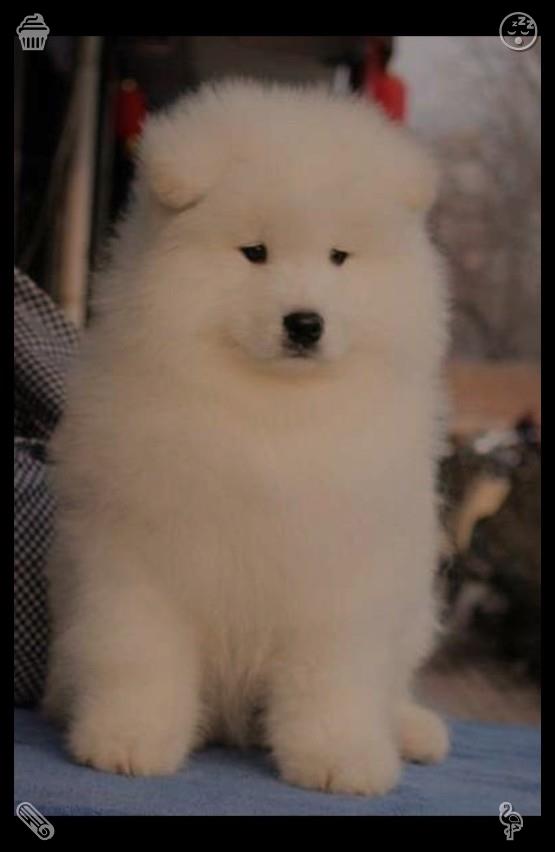 slinger215 tweet picture