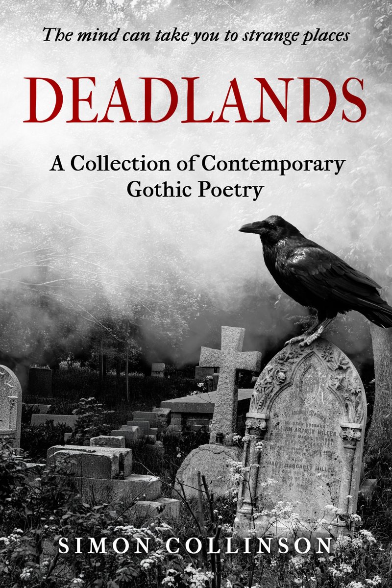 simon_coll87859's tweet photo. DEADLANDS RISES -  Tomorrow. #ShamelessSelfpromoMonday https://t.co/Hqlac45xrH