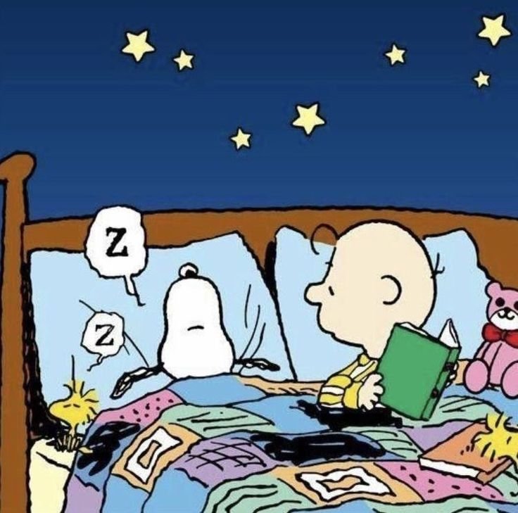 snoopyandWoodie's tweet photo. https://t.co/zD4IJ01hje