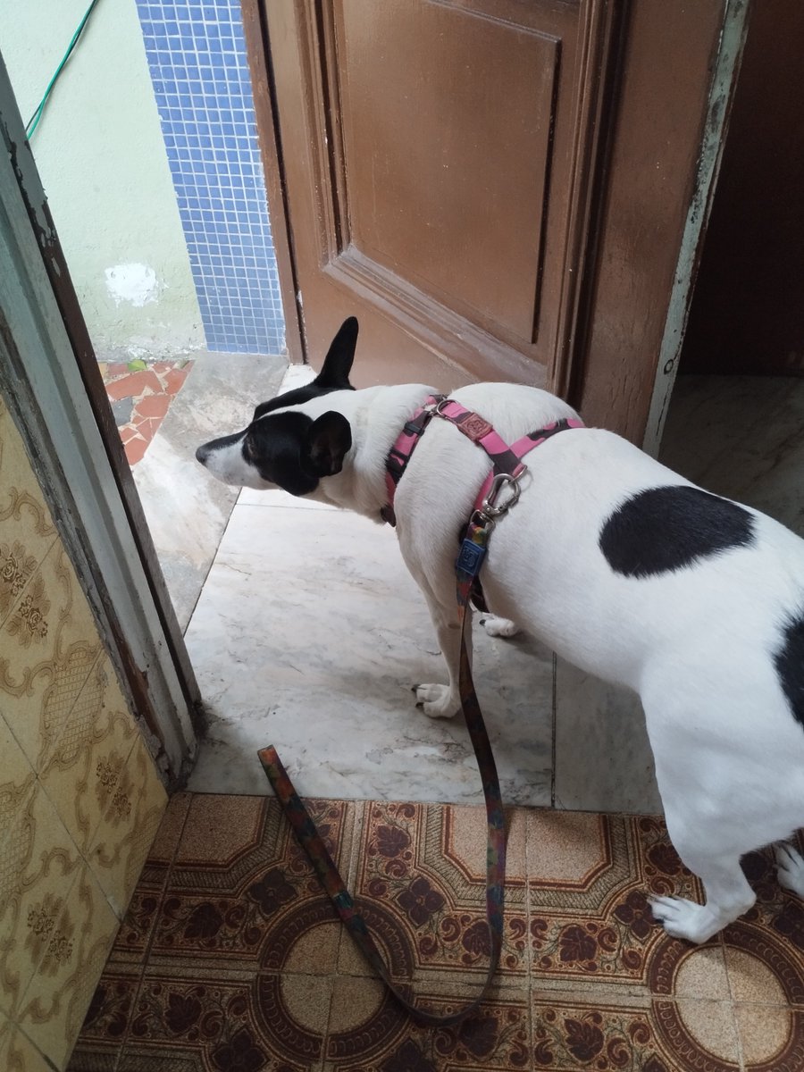 emanucroche's tweet photo. A chuva do RJ fazendo minha filha chorar. Começou a chover na hora que íamos sair pra passear e ela ficou arrasada https://t.co/5DVnVUySye