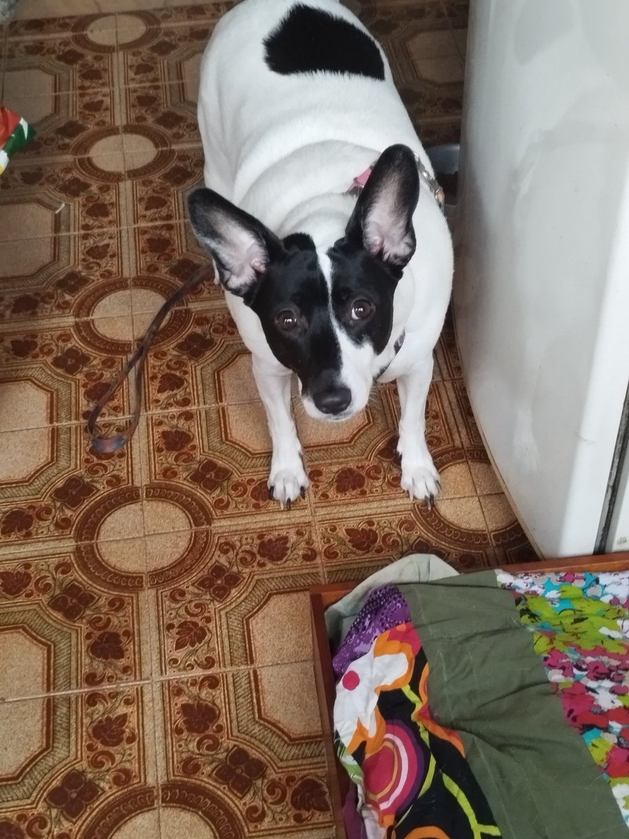 emanucroche's tweet photo. A chuva do RJ fazendo minha filha chorar. Começou a chover na hora que íamos sair pra passear e ela ficou arrasada https://t.co/5DVnVUySye