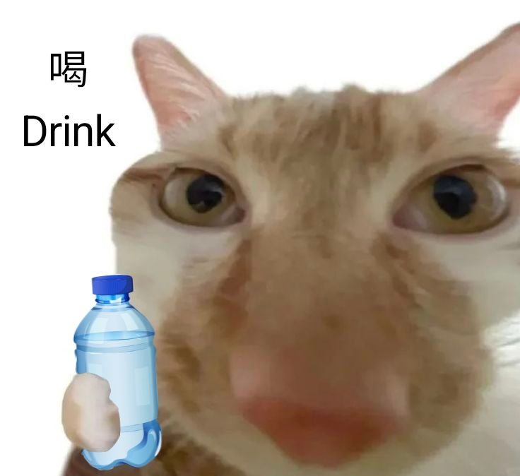 layxzhang's tweet photo. @dewwjsu i know im cool. https://t.co/Bjy2uW6GuY