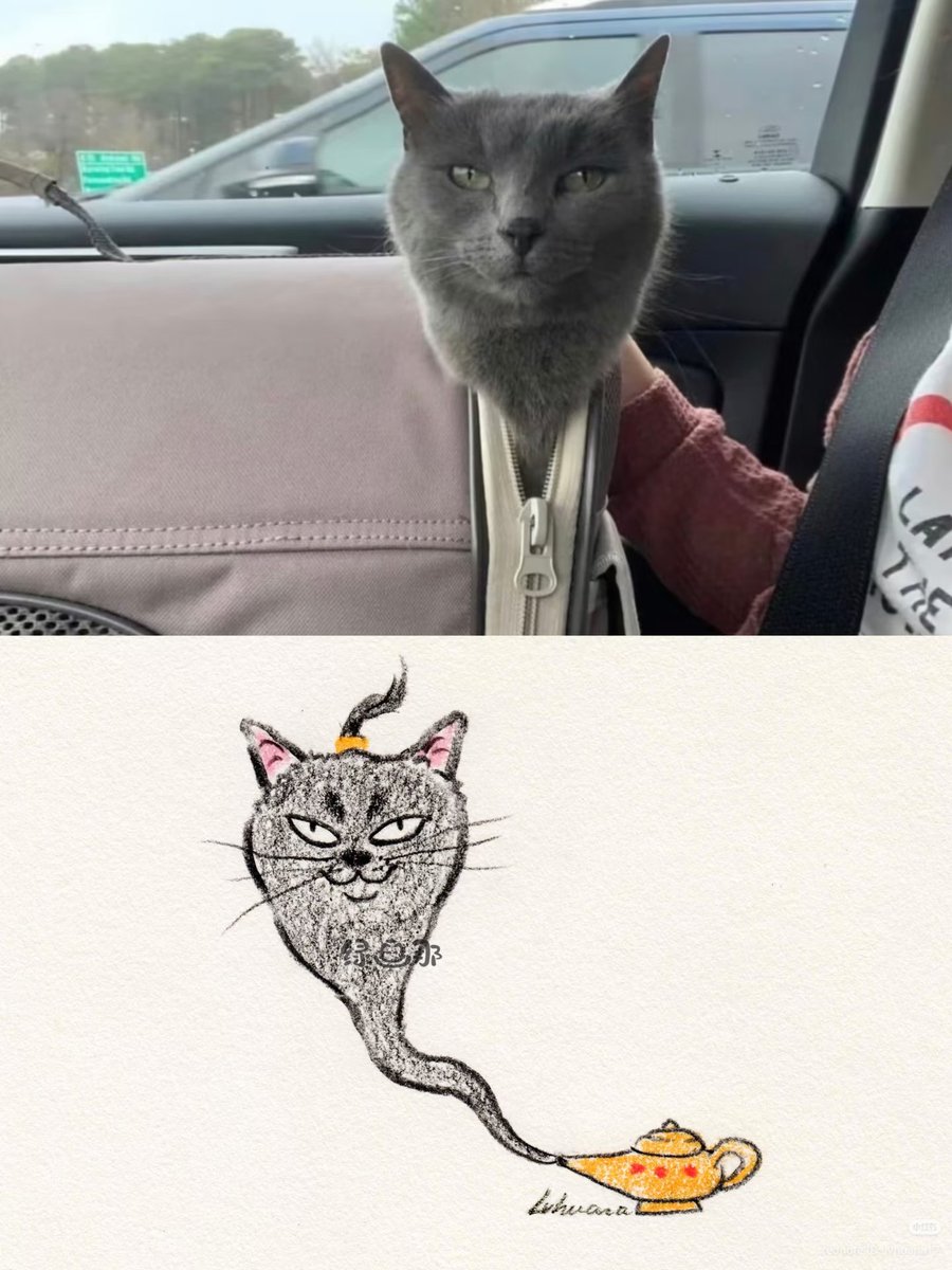 nocontextscats's tweet photo. https://t.co/mpGJu0dZKl