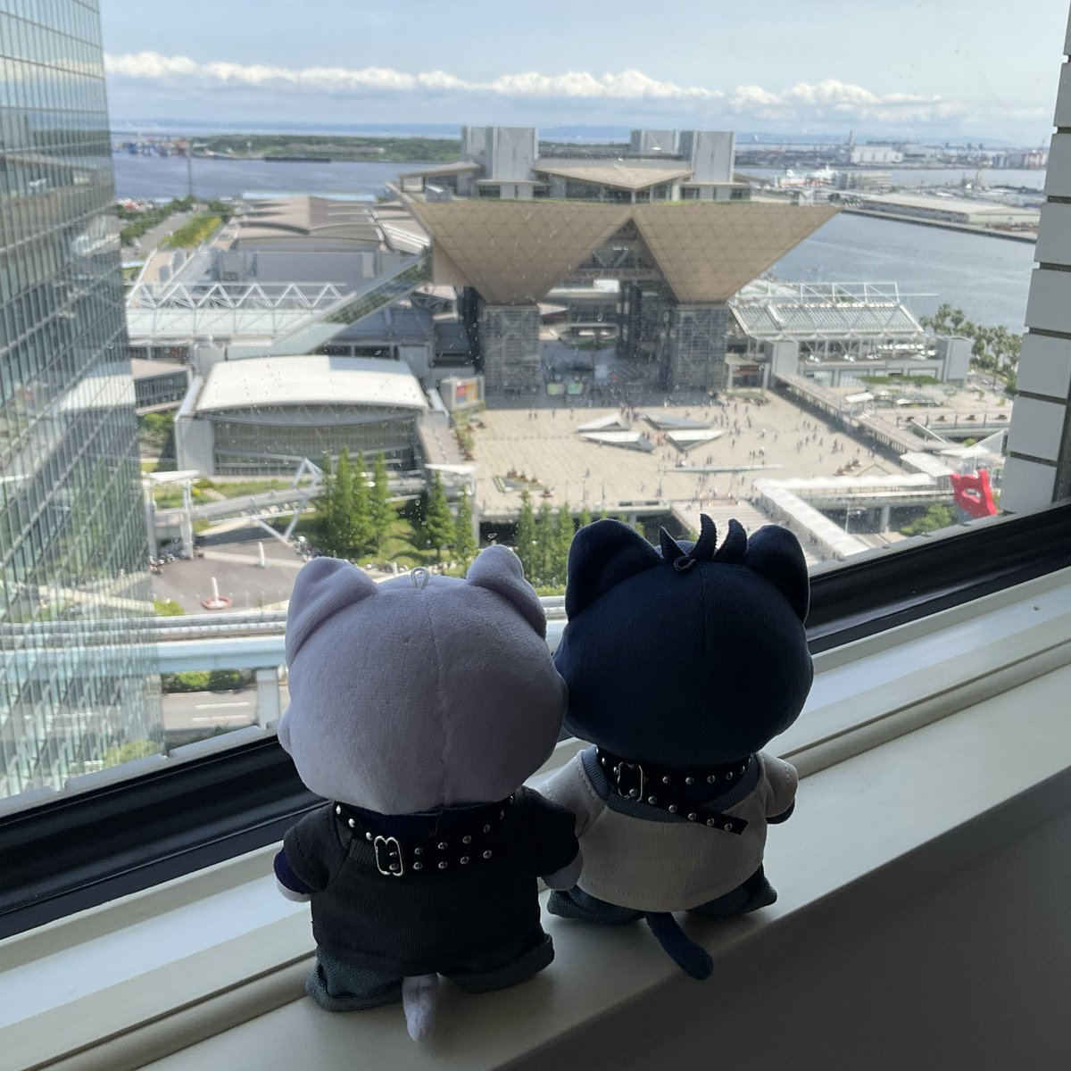 senaneko0524's tweet photo. #ちいさきいのちの後ろ姿大好き協会 https://t.co/7yQKZtyAmV