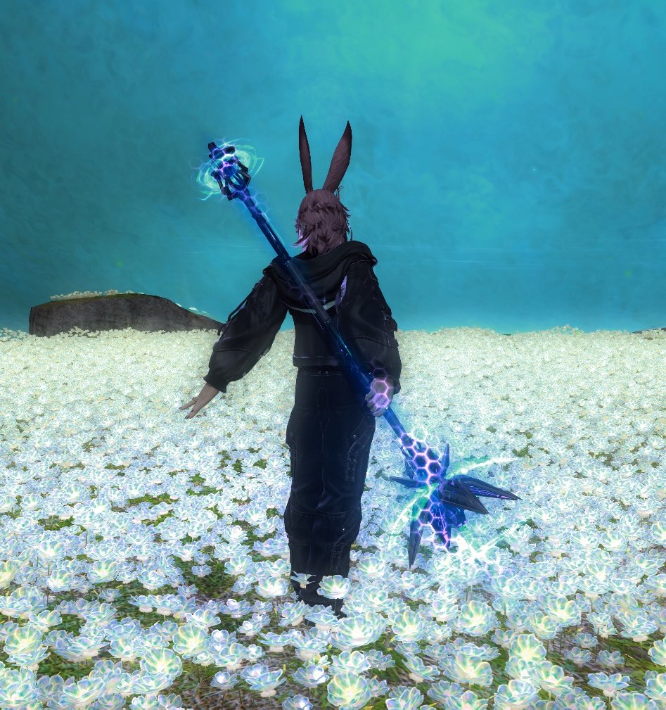 heymistwalker's tweet photo. Bloom https://t.co/oncqGWZmUg