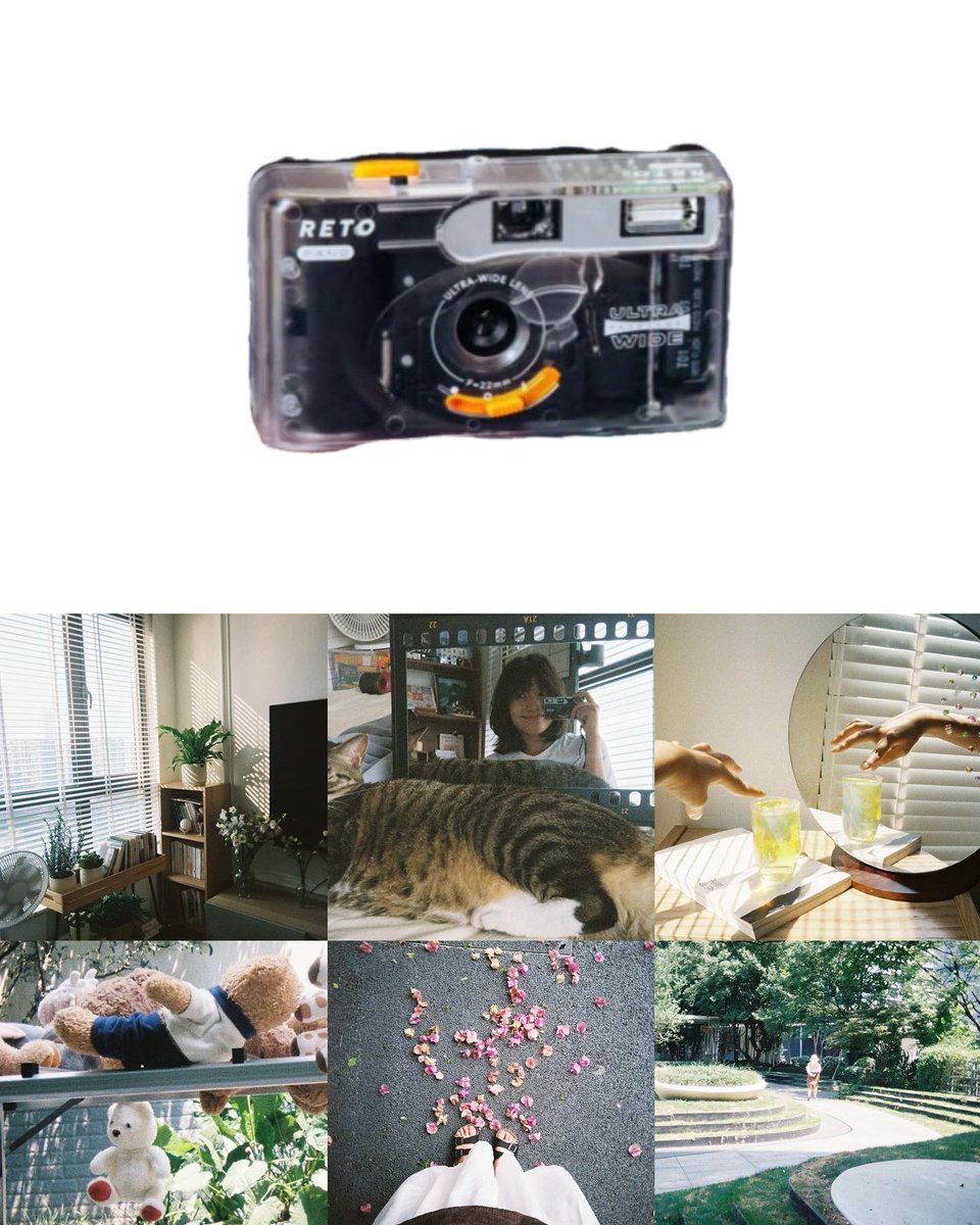 SamuelCampyu4's tweet photo. じっと辛抱していただろう彼の数年に思いを馳せ
世の中に放たれて本当によかった！！と
心から思ってる✨
コツコツ努力がいつかキラキラ✨の元になりますように、受験生我が子とともにじっと我慢の日々 https://t.co/uTih3i2Yh1