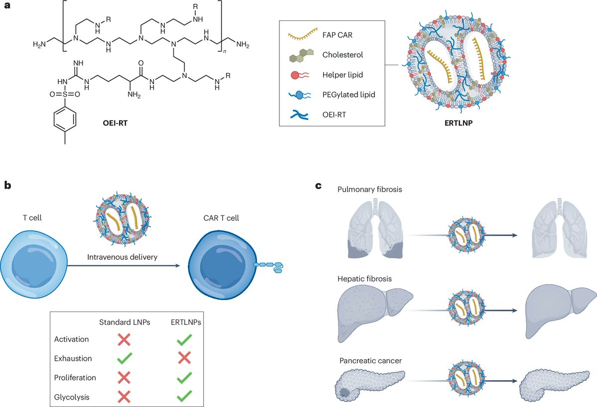 MJMitchell_Lab tweet picture