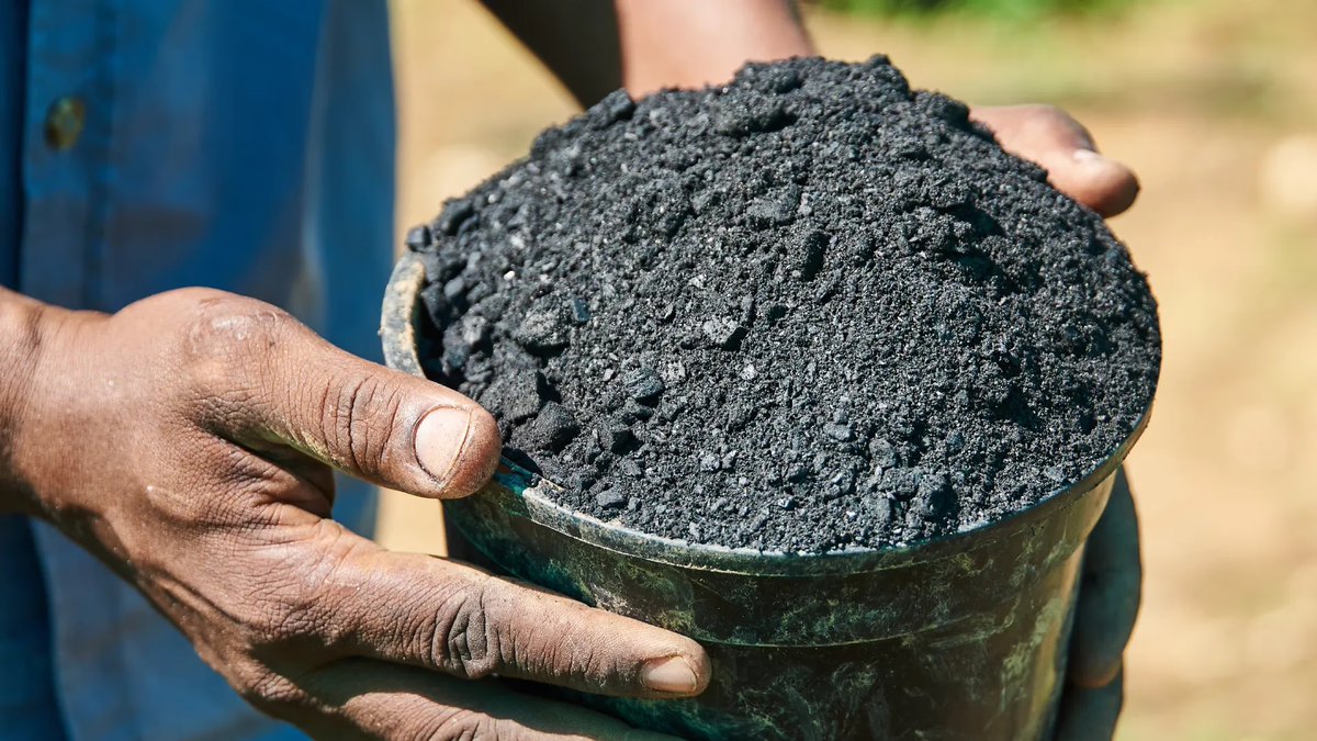 hetkanWel's tweet photo. Bomen slaan CO₂ op. Maar alleen het planten van #bomen is niet genoeg…  Er is een nieuwe methode die CO₂ sneller opslaat, langer vasthoudt én de bodem verbetert: #biochar! 👀 Max de Jong van stichting CO₂llectief legt uit hoe het werkt. 👇
https://t.co/VdOY5RzB9q https://t.co/1ZBO4SynZZ