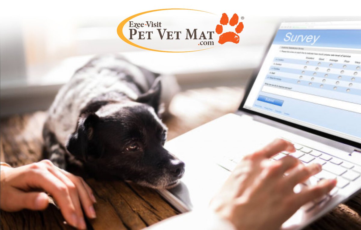 petvetmat's tweet photo. Decorating for Fall? Halloween? 🐾 Our orange &amp; black mat does the trick 🪄 - https://t.co/GmDVvlC9v3 https://t.co/6KllRmxVwU