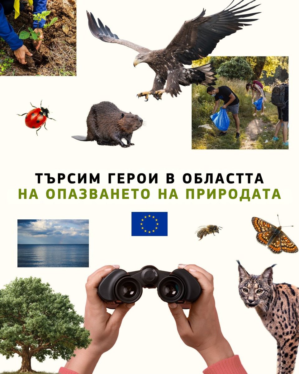 ECinBulgaria's tweet photo. 🦅🌲🦌 Отново търсим най-добрите проекти за опазване и развитие на защитените зони на #Natura2000! 

🇪🇺🏆 Ако участвате в такъв, кандидатствайте до 16 октомври! Наградите #Natura2000Awards са заслужено признание за усилията на всички, които работят за нашата природа. https://t.co/7HDDbx6aCG