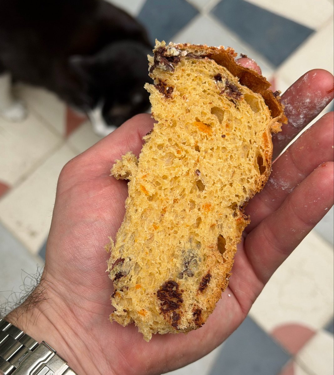 BurgerFcts's tweet photo. Ya se puede ahorrar en pan dulce comprando de pozo: Atelier Fuerza te permite encargar el pan dulce de Navidad hoy, pagás al precio de hoy y retirás en diciembre, protegiéndote de la inflación. https://t.co/dsYqGkDYWv