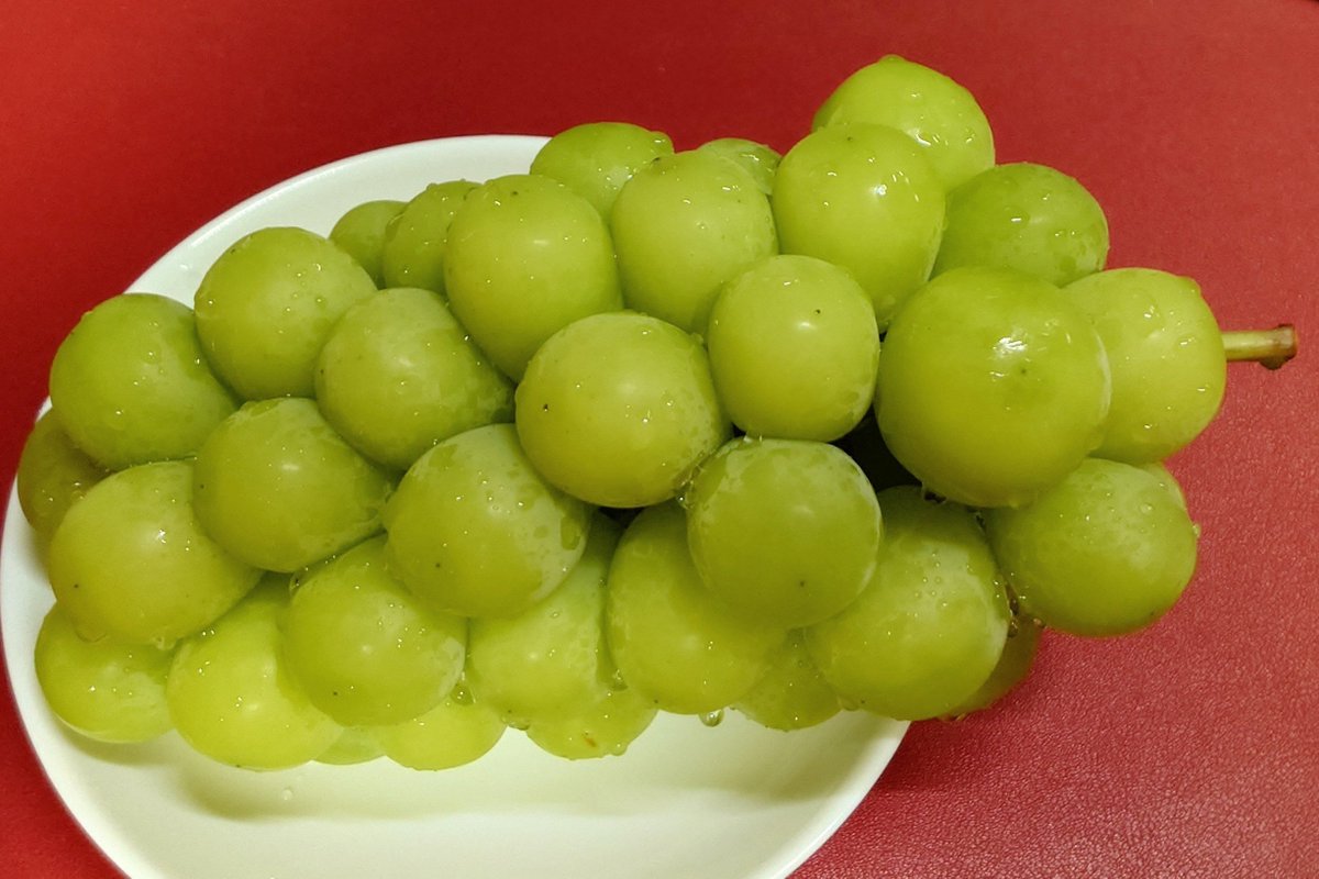 umutukuru's tweet photo. 帰国して一週間ちょっと、、、桃、葡萄、梨、あれやこれやの果物を食べていますが、やっと食べることが出来たのがナガノパープル🍇 巨峰らしさしっかりの、濃厚で美味しい葡萄でした😋 果物はこのあともいくつか届きますが、一番の楽しみは梨の秋満月😃 https://t.co/R8nkSWCs3o
