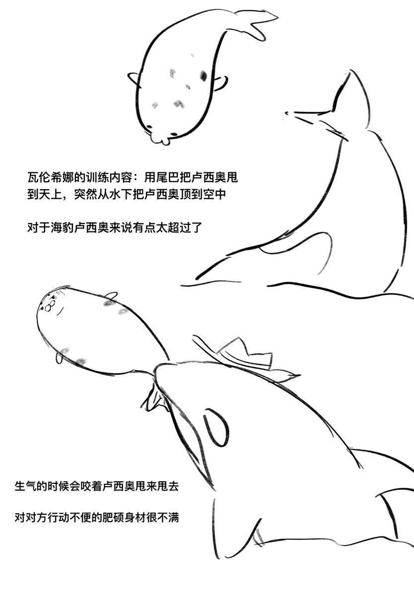 haibaopaodan's tweet photo. 虎鲸瓦伦希娜和储备粮海豹卢西奥 https://t.co/PqueJCILT2