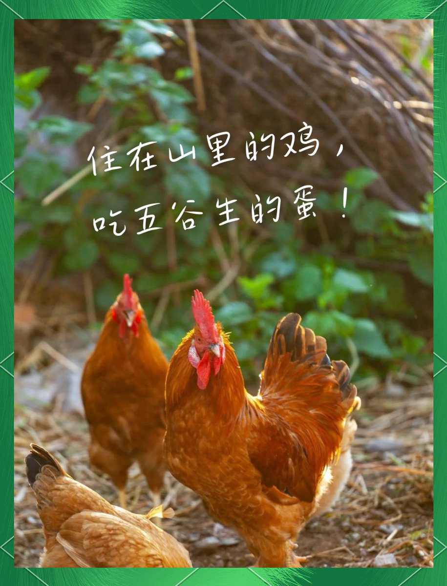 MyHomehluPage's tweet photo. [今日鲜切青菜+带壳土蛋到货，新鲜水灵，晚前下单明天一早送，家庭常备菜省心采购～]， https://t.co/IsouTeUlwj