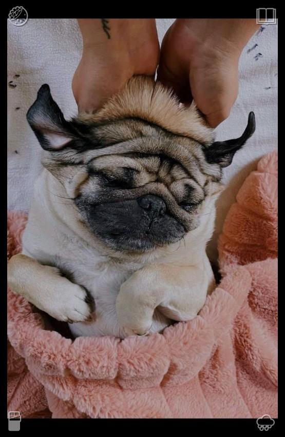 Com53K's tweet photo. Each peaceful morning, speak kind and uplifting words out loud, and completely mellow the cruel, judgmental tone you use toward yourself. Release the concealed strength of your spirit, for that inner voice guides every meaningful decision throughout your entire day.🛫A chic litt https://t.co/vOek3BjVIg