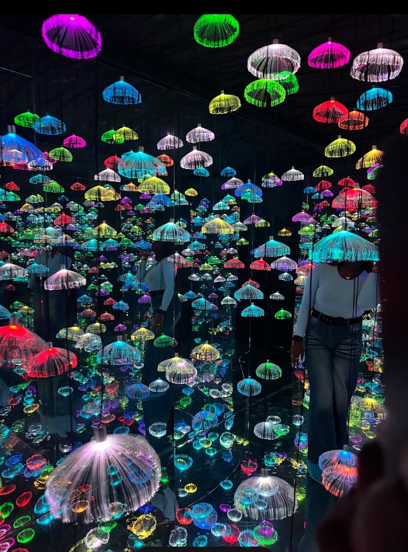 lagosonabudget's tweet photo. Mainlanders there’s a new illusion museum in Ikeja ☺️😝

Illusion zone
📍Ile Oja mall, Opebi Ikeja

Budget: 20k https://t.co/5X4NQ5sLMm