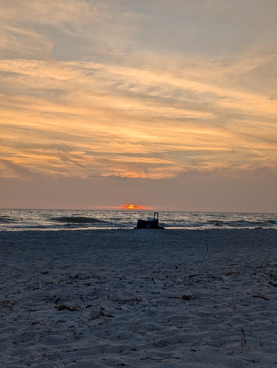TSevard's tweet photo. Would love to catch you for a bit of a photoshoot... We have incredible beaches here on Tampa Bay

JS 

@KrystalAsh3 https://t.co/hdLRNc6nim