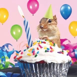 fakecelle's tweet photo. Just ate 4 munchkins out the box that I brought to work to tell my work friends Iβm quitting #whatever #formeanyway #letsparty https://t.co/yQg7llibUG