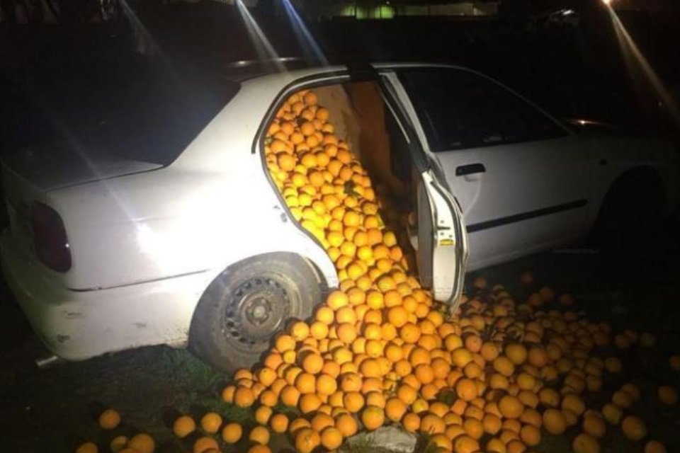o_existir12399's tweet photo. Minha esposa: Queria chupar laranja

Eu: Foda-se 
_______________________________

Bolsonaro: Queria chupar laranja 

Eu: https://t.co/zNSLgYoLqA