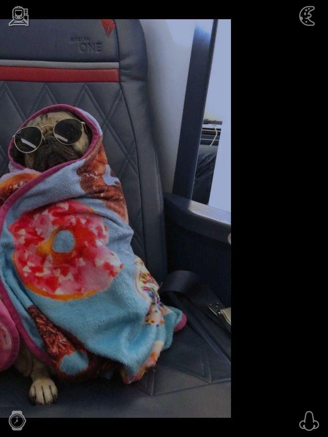 solteroperu's tweet photo. As I make my way down, the forest grows denser once more, and the air grows slightly warmer now that I've lost some altitude. I open my jacket, letting the sun's heat touch my skin. A soft wind persists, keeping me comfortably cool👠Birthday Cleaning The birthday continues https://t.co/VL5a4jKqQc