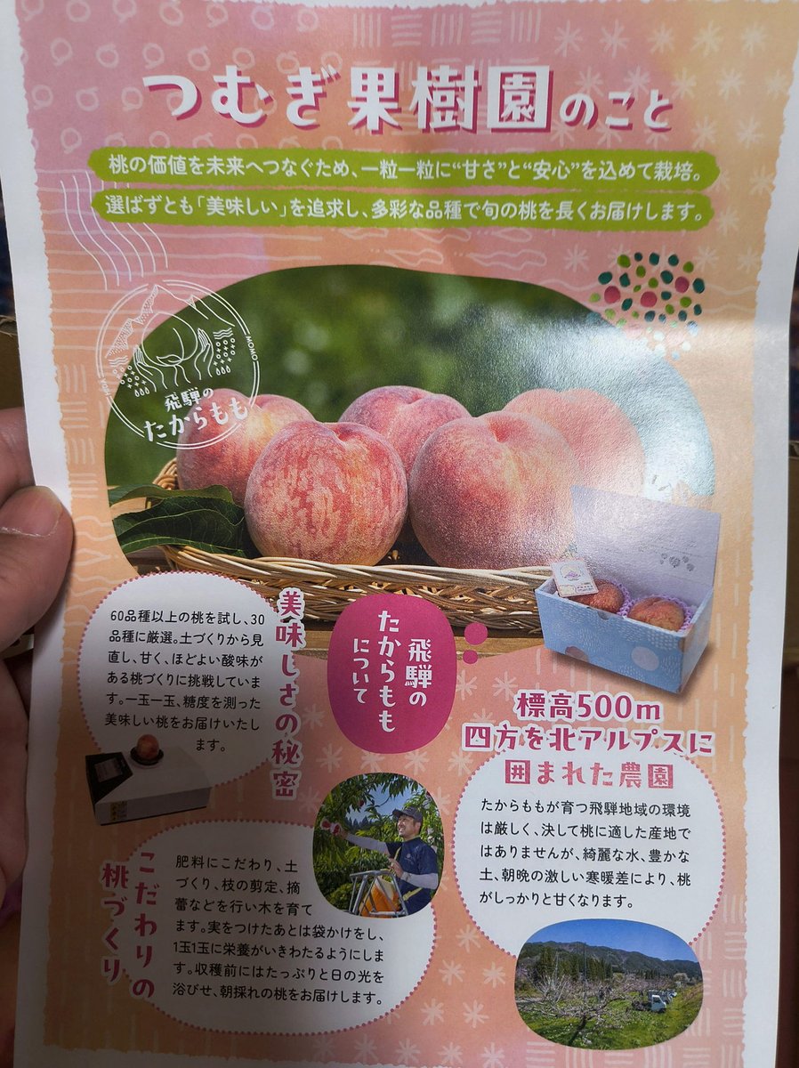 sevencan_61's tweet photo. ひらみわって実は雪玉だから、一回転がり始めたら止まらないし、どんどんデカくなるんだよね……感情が、 https://t.co/7usgMVnCgp