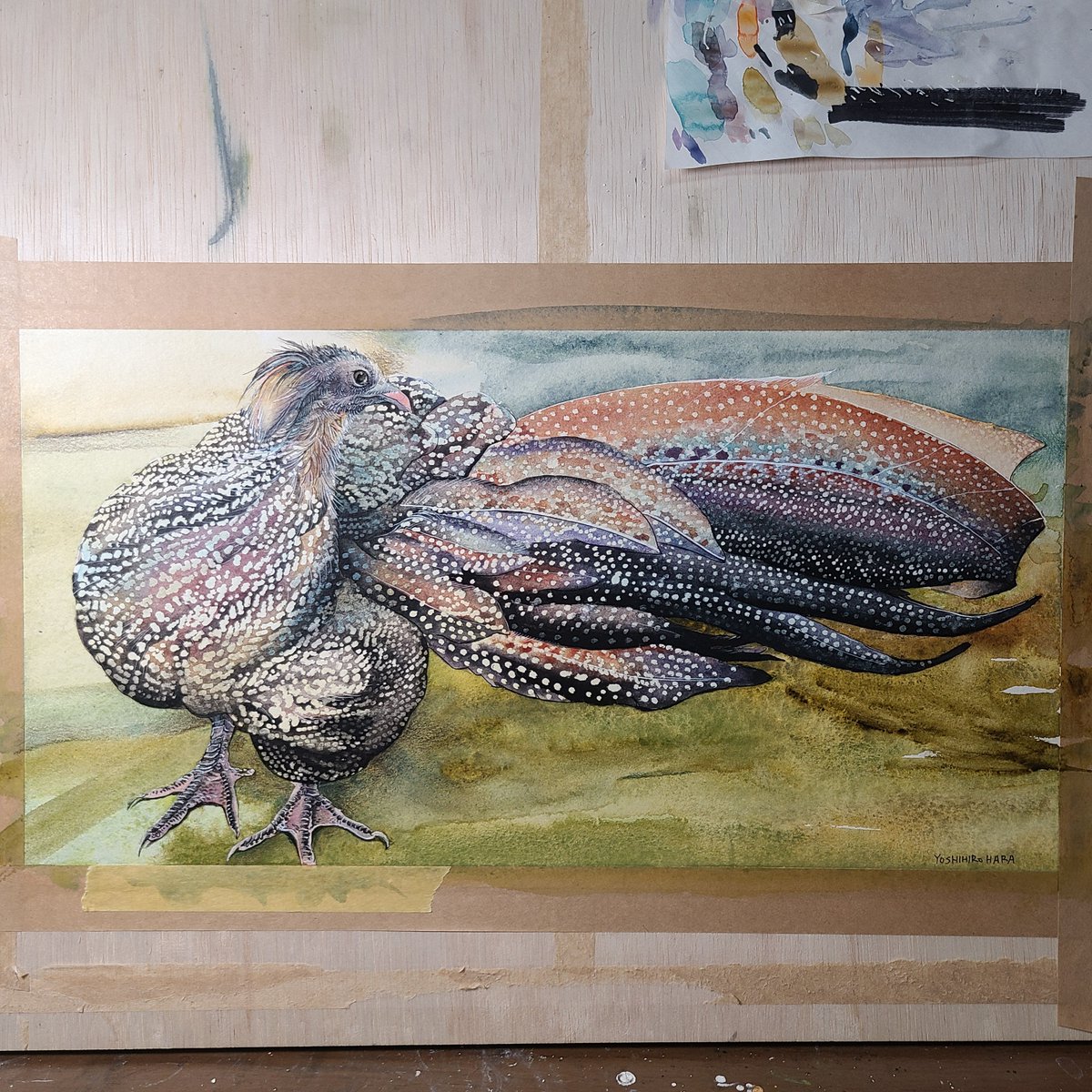 KAMEart44's tweet photo. 「galaxy」

画材　水彩　ペン　色鉛筆

野毛山動物園の
カンムリセイランがモデルです。 https://t.co/2wIVtg9dYe