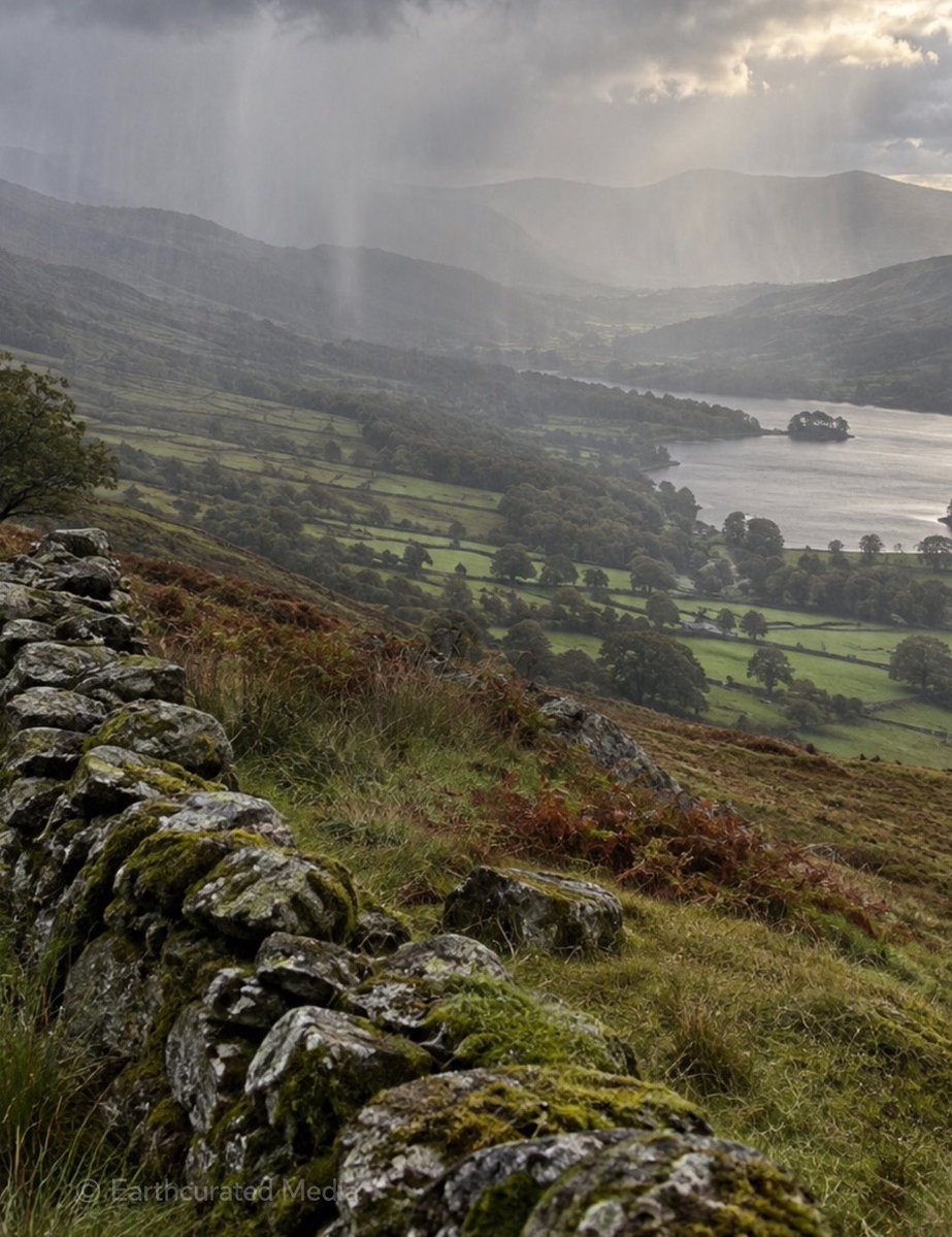 earthcurated's tweet photo. Rain makes the countryside better.
Some places just suit it. https://t.co/nVTjUUhny2