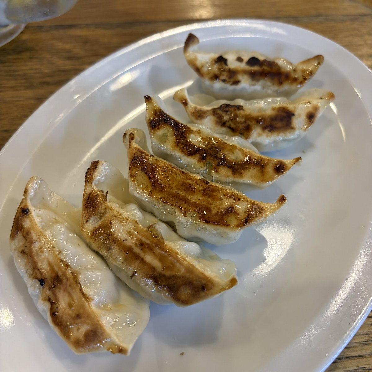 acala_naatha's tweet photo. ぴおシティ2軒目は「太陽ホエール」へ！
まずはメガハイボールで乾杯。
アテは名物の焼き餃子と、初めて頼む肉豆腐。
この肉豆腐がめちゃくちゃ美味い……！
これは次回リピ確定かな。 https://t.co/FrejKhB6Zl