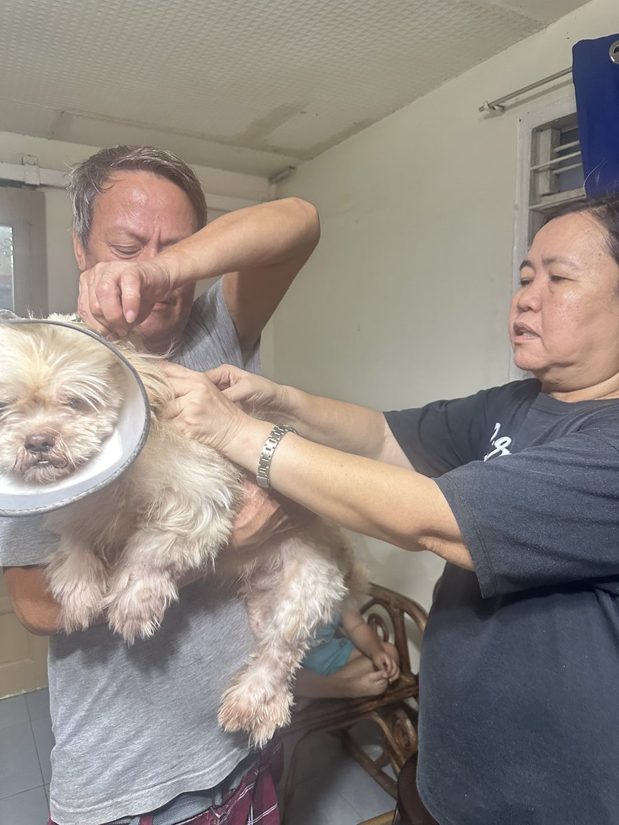 JACKandDStrays's tweet photo. ROUNDTRIP SHOTS OF 6in1 ..

I've been busy in real life because Ihave new 4 dogs rescued from their own family betrayal in short . Time to give another chance again for four legged

$JACKSAM 

support us for what we doing :

https://t.co/2XUWg9SJVZ https://t.co/TPJA5b4aMu