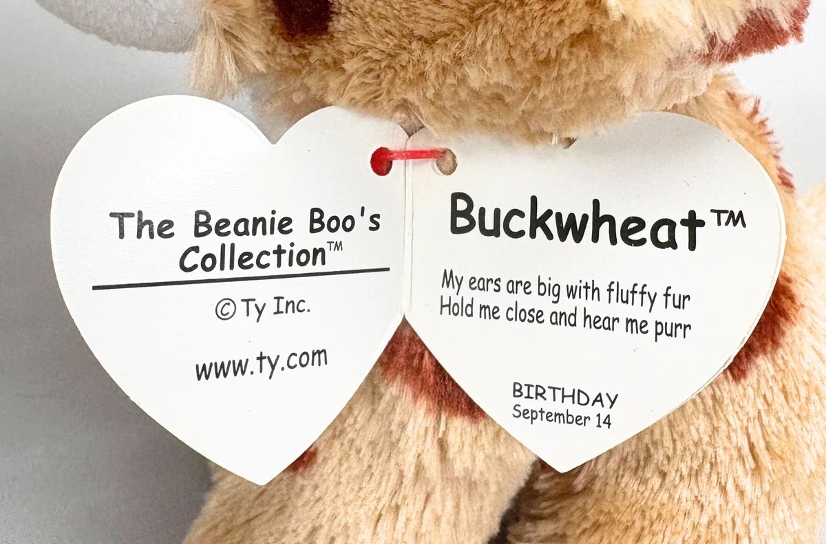 beanieoftheday's tweet photo. todays beanie boo of the day is buckwheat the lynx! https://t.co/qCjaU3MK5j