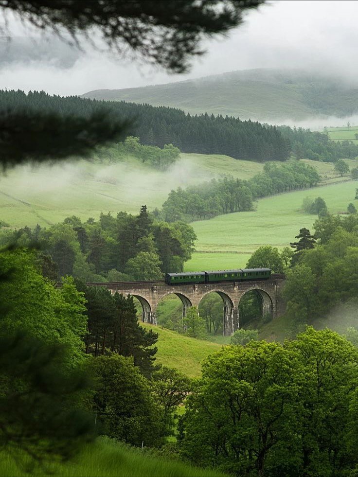 Alina_bloom79's tweet photo. Scottish Highlands.. https://t.co/YEOmLSmGqG