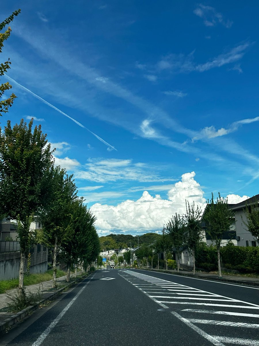 Nyanglia's tweet photo. 放置しすぎて通知が紫の星だらけになってウザいので
毎日何かしら呟くようにしよう https://t.co/NCAECyUV8i