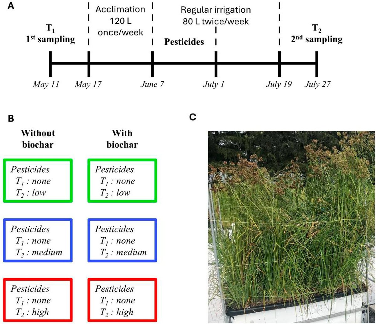 CanJMicrobio's tweet photo. 📣#CJM #EditorsChoice 🔬🧫

Biochar alters microbial community structure in experimental treatment wetlands exposed to pesticides | Hanna et al

Read the summary: https://t.co/bB3VZumcYe
Read the article: https://t.co/6NKOMhUIhi

#pesticides #microorganisms #bacteria #fungi https://t.co/6q6zHA5euR