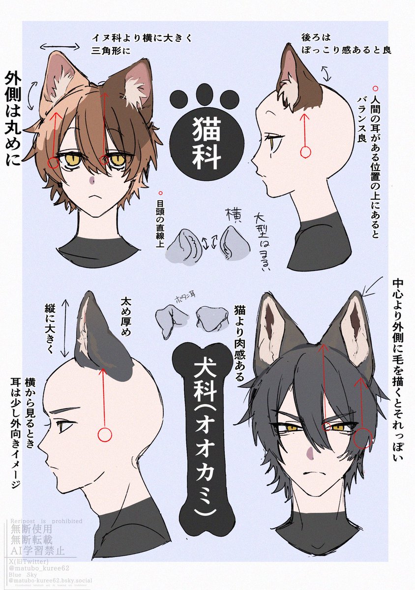 matubo_kuree62's tweet photo. 最近よく反応を頂くので、ケモ耳を再掲 https://t.co/6giJwVQPKp