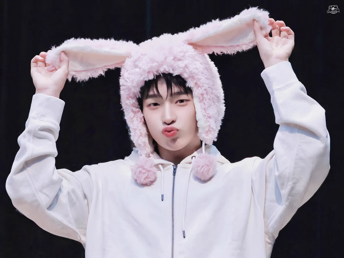 MINAMIKUMA🐻 on X: 
