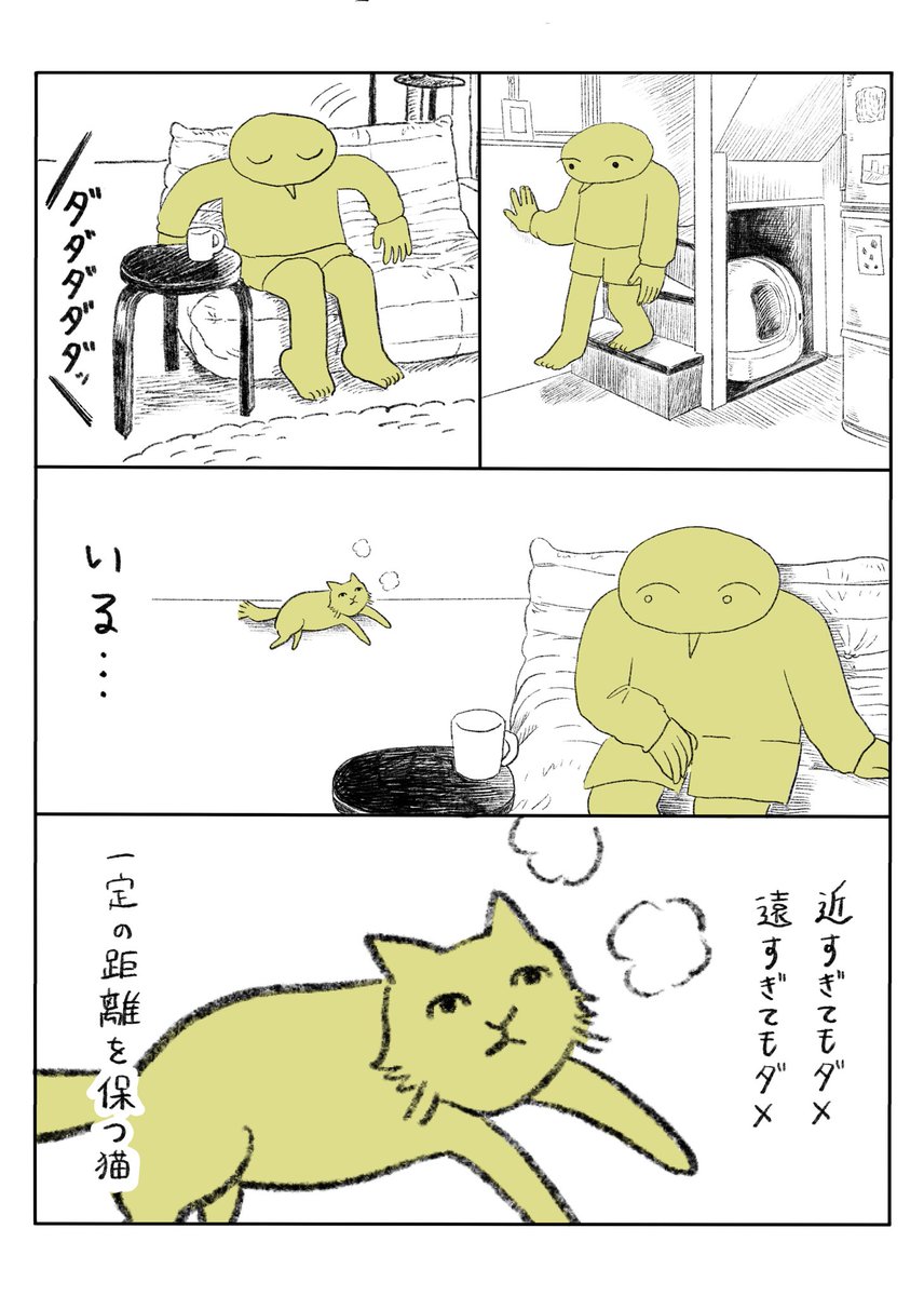 surippa70's tweet photo. 猫の距離感の話 https://t.co/PIHsk2tIKl