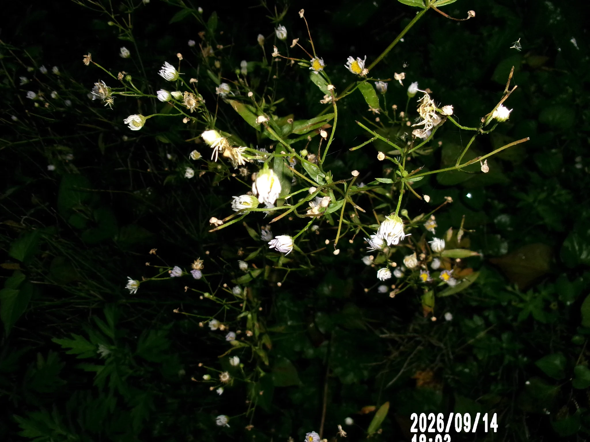 のりちゃん2 в X: „・・んでは、ここでちょっと～💫?➰🧐。“ / X