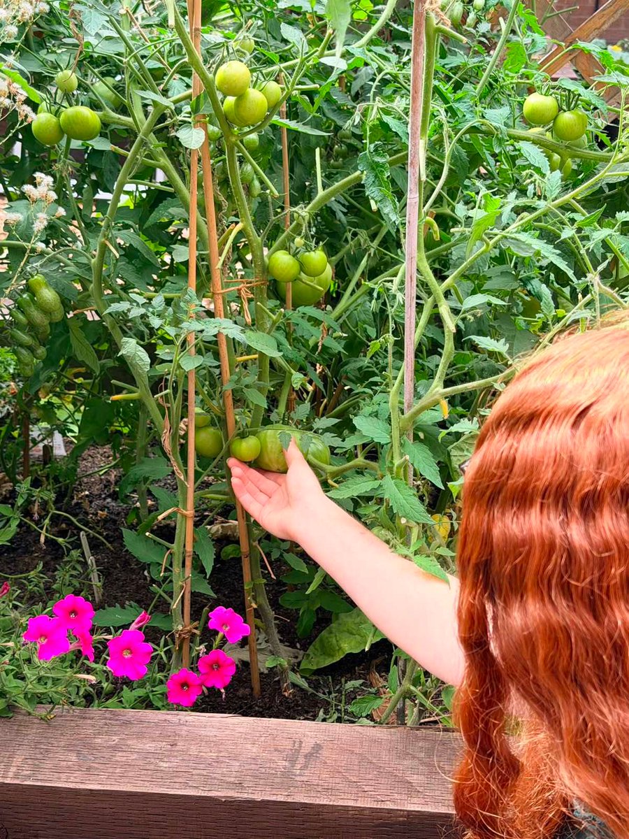 LutonTotal's tweet photo. Our Gardening Club is blooming! From planting and growing to harvesting fresh produce, every session is an opportunity to learn something new and enjoy the benefits of being outdoors. 16 &amp; 30th September 2026 | 10:00am – 12:00pm Lea Vale Medical Practical,Luton, LU1 1HH https://t.co/3yeHghQhj3