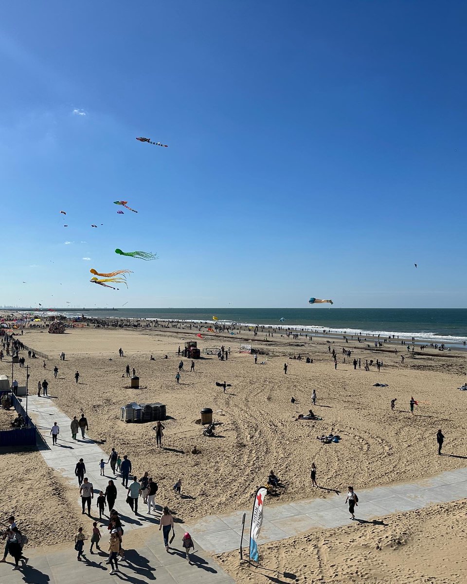 HansSedaa5so's tweet photo. Day drinking at a kite festival. Pure bliss. https://t.co/Y8NTim63Ug