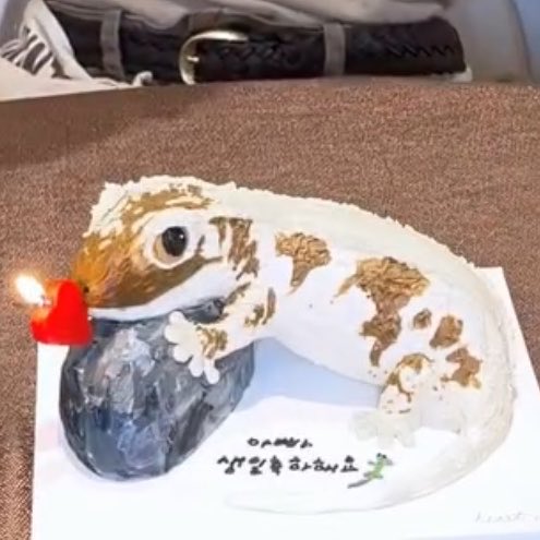 hanmingg's tweet photo. the text says “happy birthday dad 🦎” 🥹 https://t.co/rbeNeuoOCS